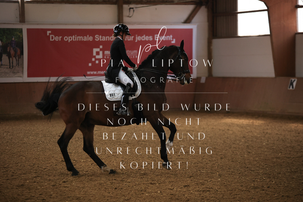 IMGT4429 | pl-fotografie