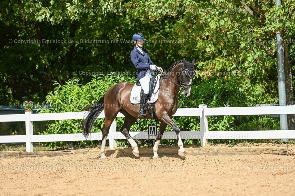 20230715_02_Dressurreiterprüfung Kl.L_0296 | equistock