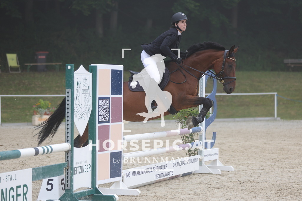 0P6A7702 | Willkommen bei Brunnmayr - Design & Fotografie – Ihrem Spezialisten für Reitturniere und Pferdeveranstaltungen in Oberösterreich, Salzburg und Bayern! Seit über 17 Jahren sind wir leidenschaftlich dabei.