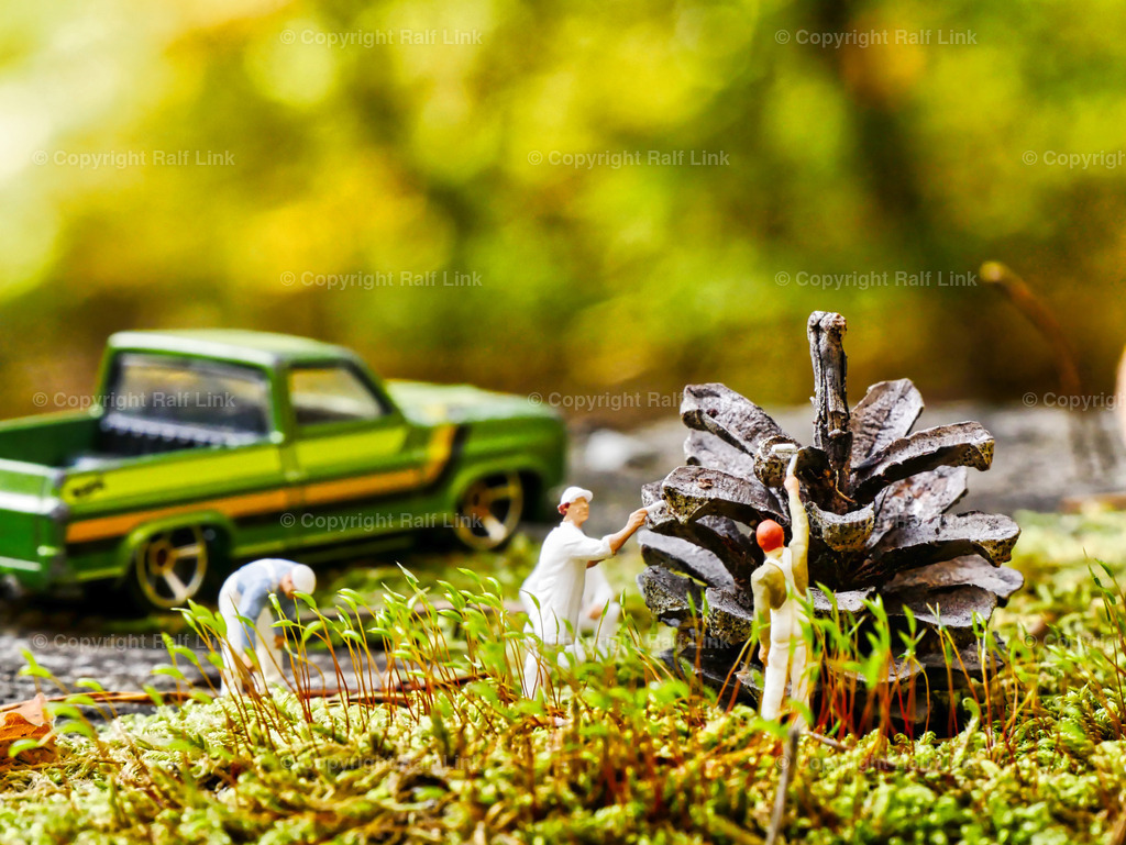 Waldmaler | Stockfotos, Fotos mit Miniaturfiguren und kreativen Ideen. Dabei auch vieles aus der Metropolregion Rhein-Neckar. 