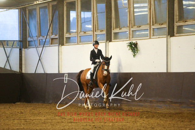 IMG_8279 | Turniersportfotografie; Pferdefotografie; Dressurfotografie