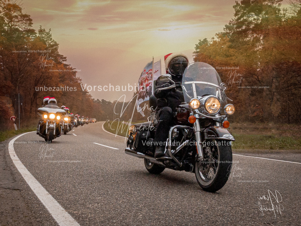 _16A2897-1L | Einzigartige Fotos von Hunden & Menschen –Actionfotos, Portraits, Vereinsaufnahmen & Paarshootings – authentisch, lebendig & mit Herz.