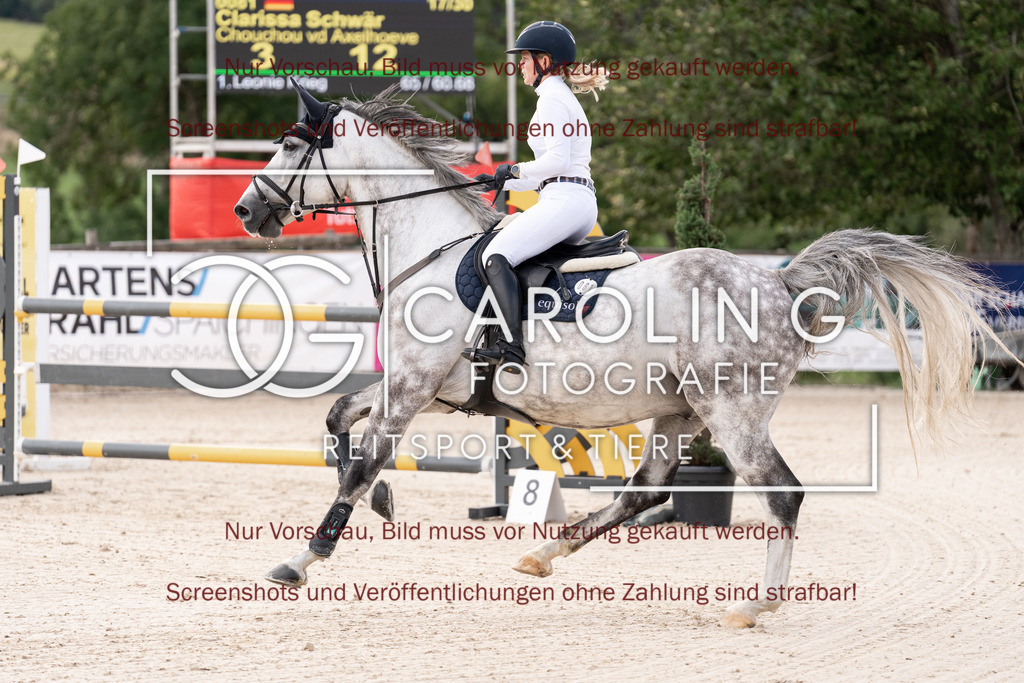 DSC06597 | Springturnier_Teamchallege_Talheim_2026, Clarissa_Schwär, Chouchou_vd_Axelhoeve