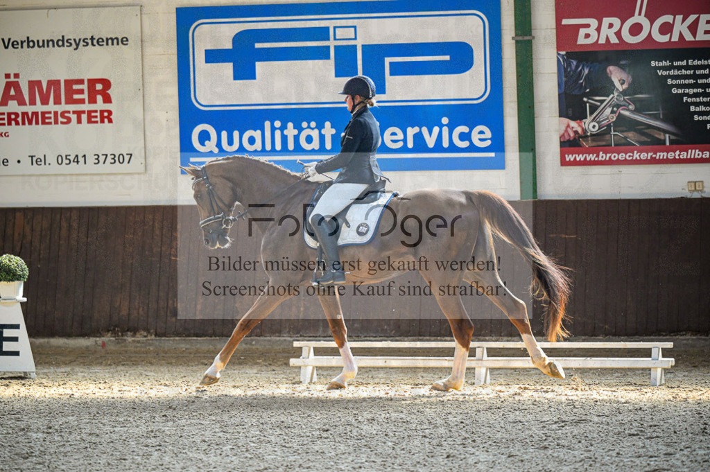 Reitturnier Voxtrup | Entdecke hochwertige Reitturnierfotos von Foto Oger. Professionell, emotional und authentisch – jetzt Lieblingsmomente im Shop bestellen.Deutschlandweite Turnierfotografie. - Realisiert mit Pictrs.com