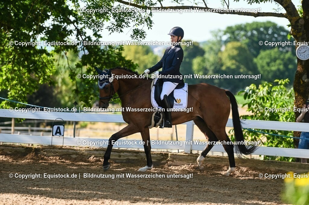 20230715_06_Dressurpferdeprfg. Kl.A_0219 | equistock