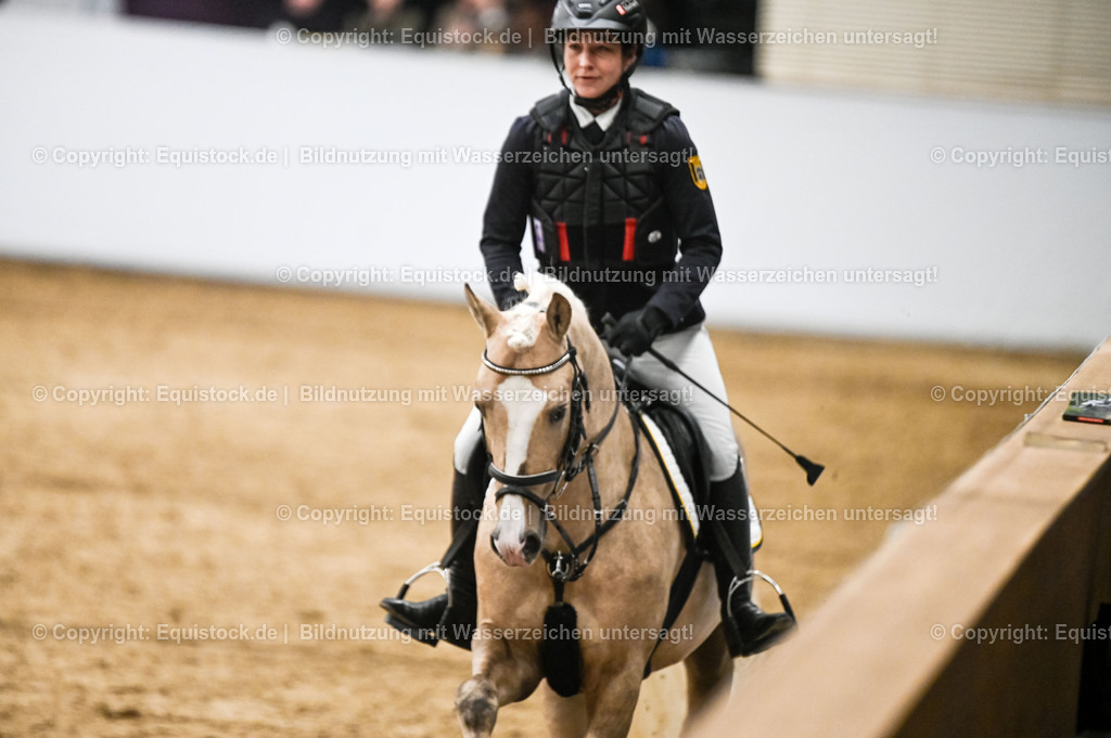 20260307_Hengstvorstellung-Marbach_0397 | equistock