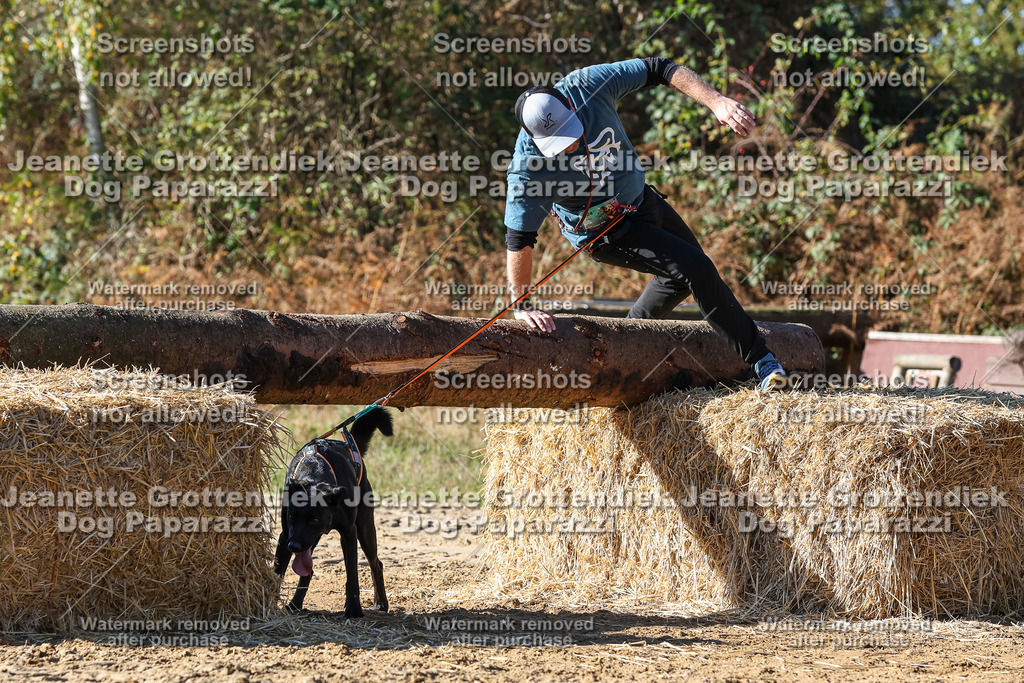 Dog Paparazzi - Strongdog 10-25-2829 | Dog Paparazzi Jeanette Grottendiek Fotografie & Videografie - Realisiert mit Pictrs.com