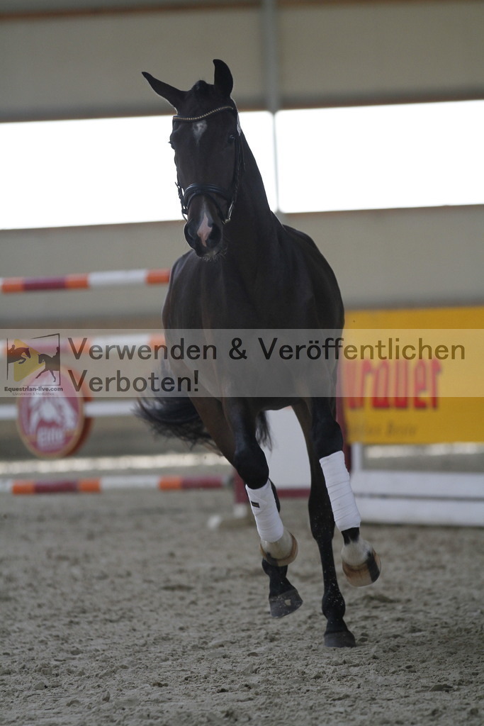 _MG_9850 | equestrian-live-com