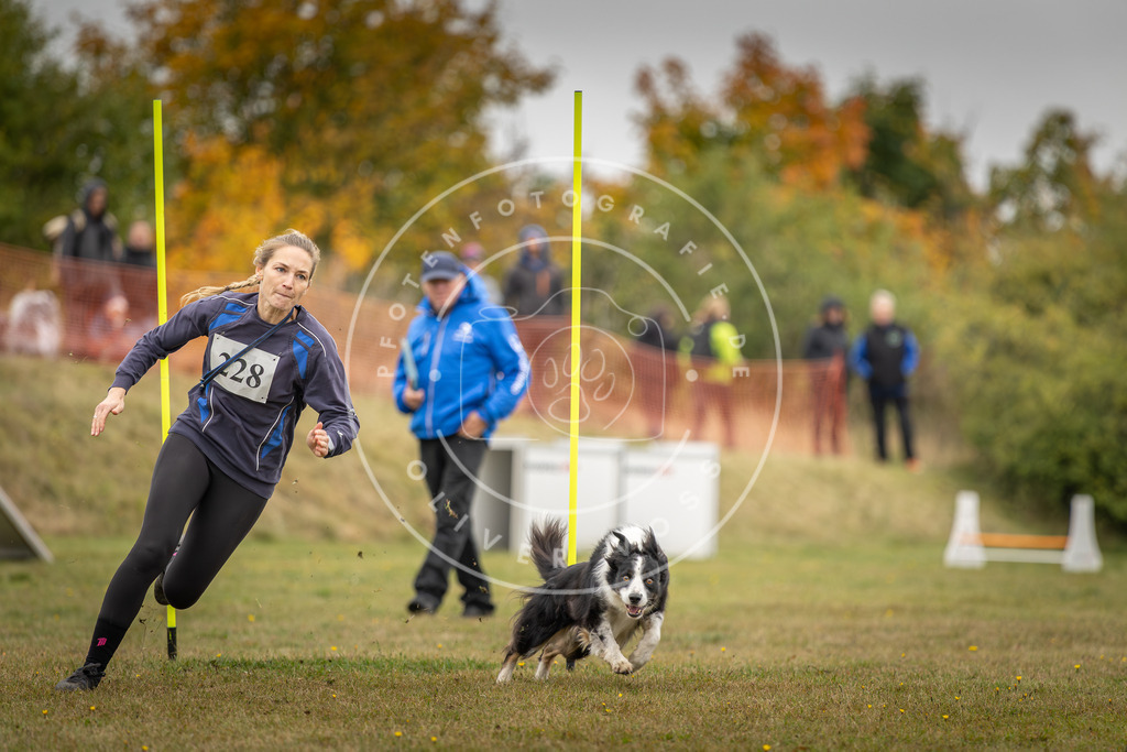 Pfotenfotografie_DV3A4071 | Hundefotografie, Tierfotograf, Pfotenfotografie, Fotoshooting Hund, Hunde Portrait, Hundesport, Hundeportraits, Heideshooting, Hunde, Sportfotograf, Hundefotograf, Turnierhundsport, THS,  - Realisiert mit Pictrs.com