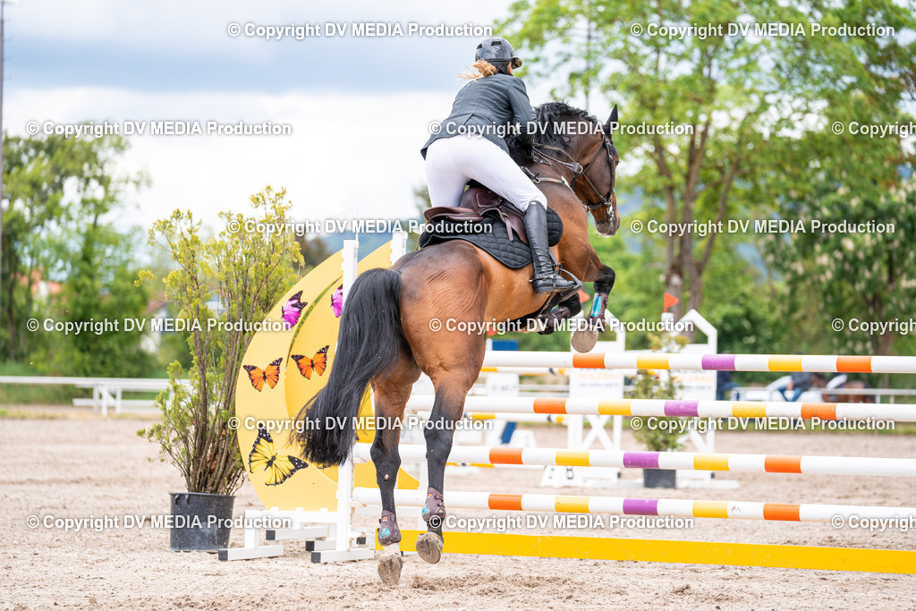 Eppelheim Tag 1-240 | dv-media-shop - Realisiert mit Pictrs.com