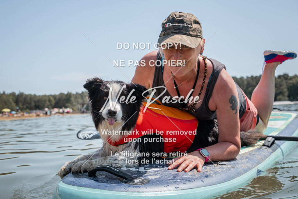 nelerasche_saSUP2_106 | nelerasche