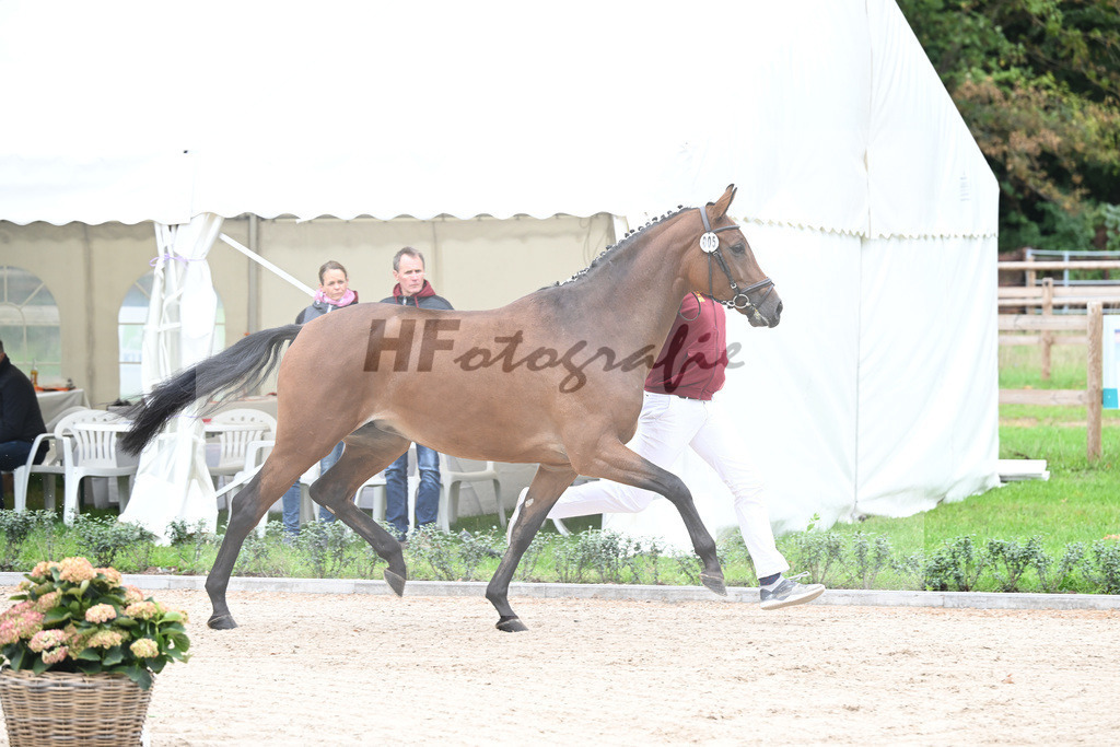 Kat-Nr. 5 Caida_Arzt_49220842 | hf-fotografie - Realizzato con Pictrs.com