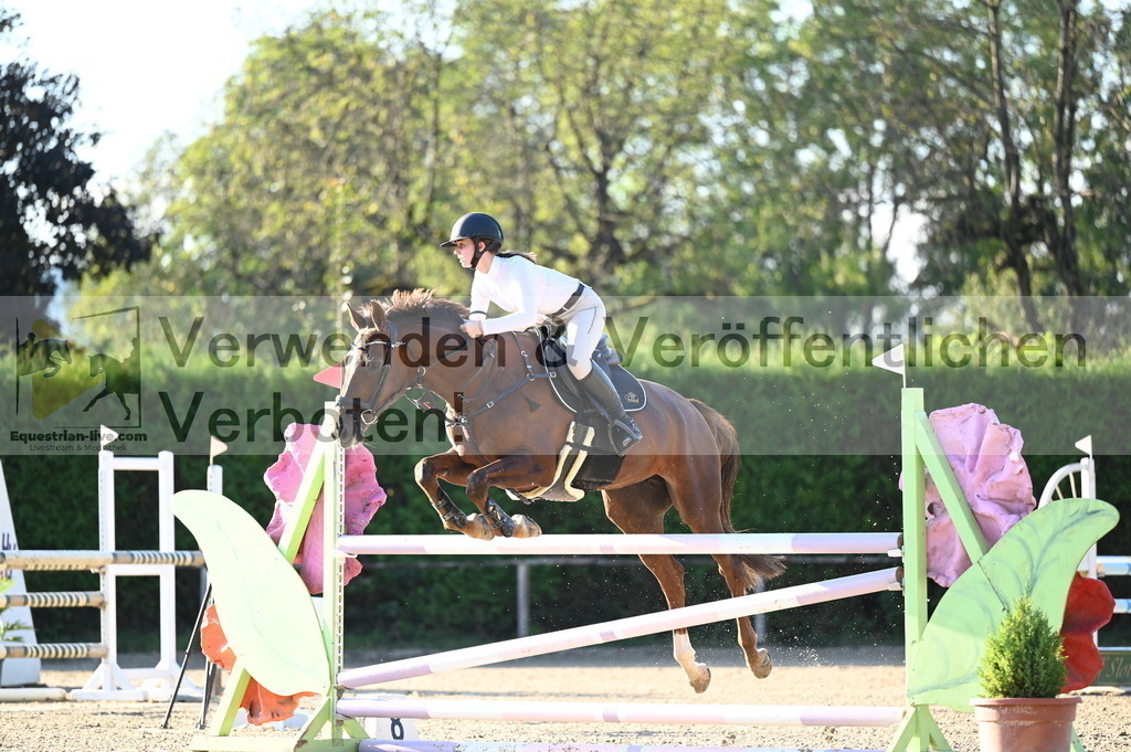 DSC_8946 | equestrian-live-com