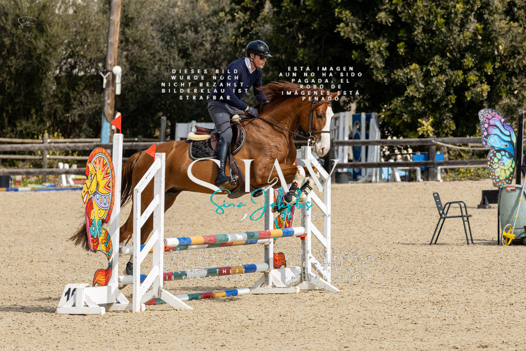 IMG_3257 | s-jay-photography - Realisiert mit Pictrs.com