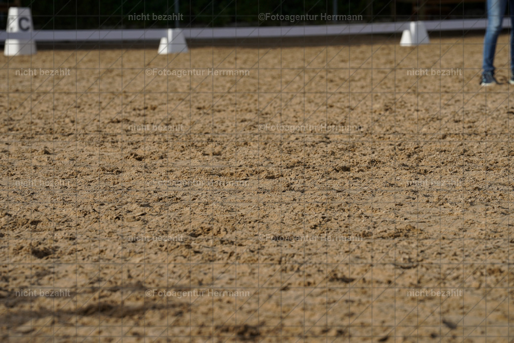 20240825-FAH00615 | Turnierbilder, Reitsportfotos, LAPO, Landesponyturnier, Turnierfotografen Bayern
