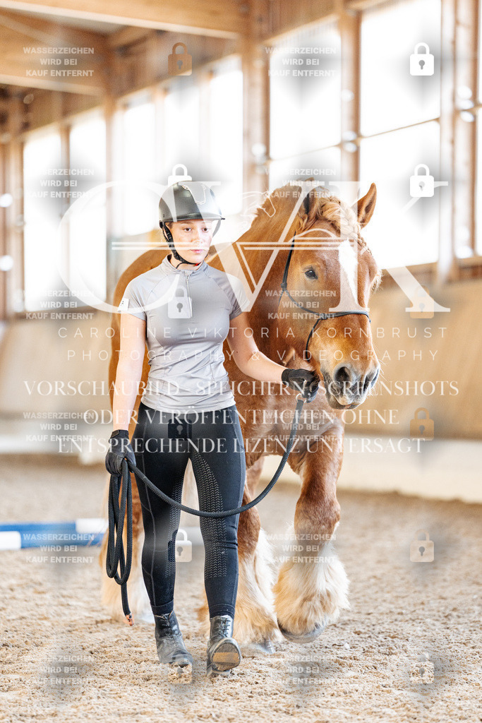 CK905471 | Turnierfotografie Pferdefotografie Trier Rheinland-Pfalz Pferdesport Reitsport Tierfotografie Sportfotografie Pferdevideo Pferdevideografie Equestrianvideography equestrianphotography  - Realisiert mit Pictrs.com