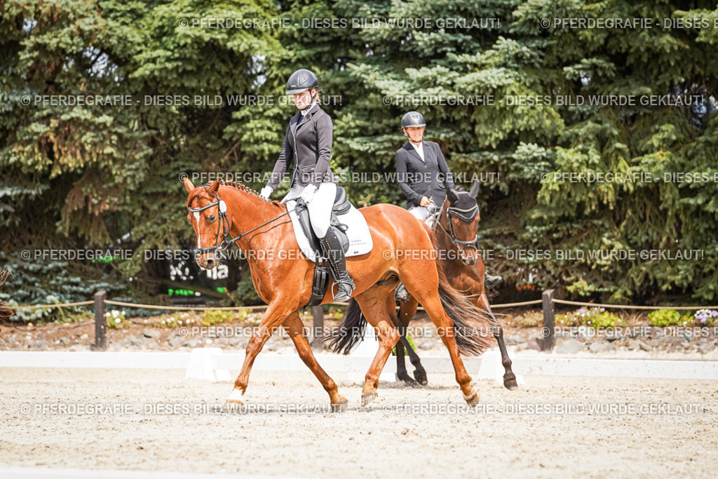 DSC03610 | Pferdegrafie