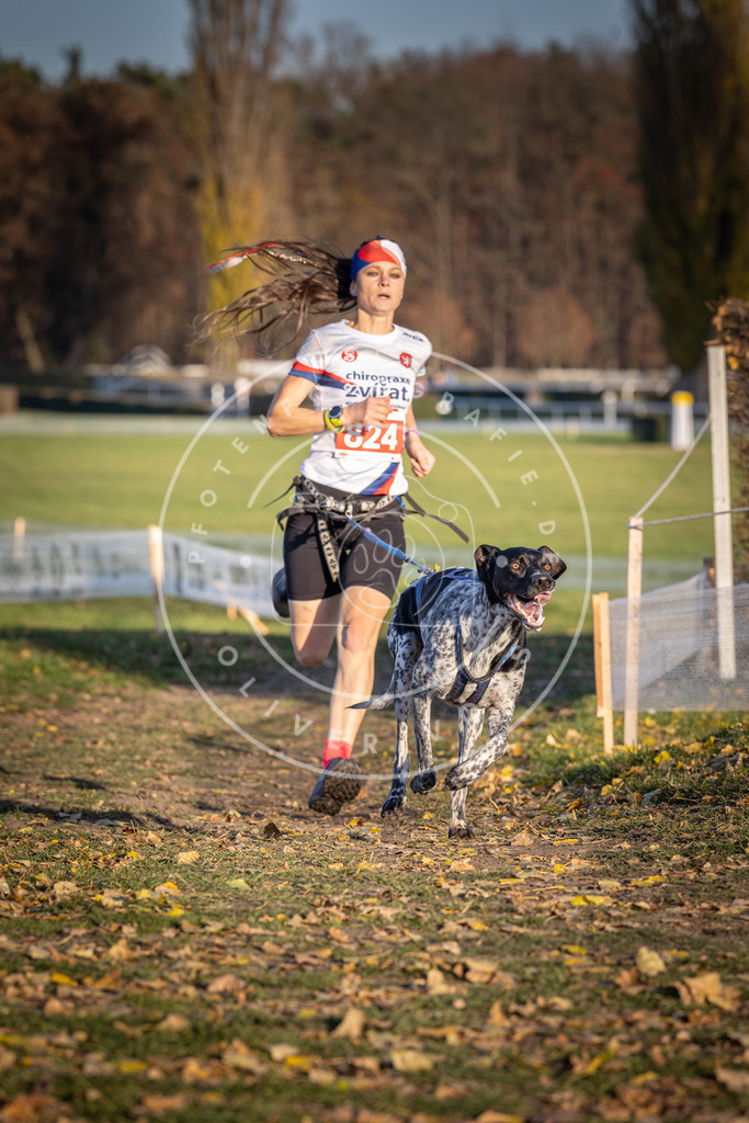 CaniXpix_DV3A3317 | Hundefotografie, Tierfotograf, Pfotenfotografie, Fotoshooting Hund, Hunde Portrait, Hundesport, Hundeportraits, Heideshooting, Hunde, Sportfotograf, Hundefotograf, Turnierhundsport, THS,  - Realisiert mit Pictrs.com