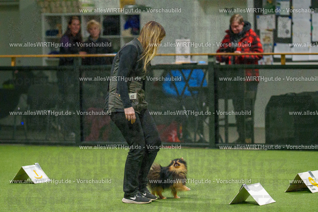 7R508939 | Professionelle Tierfotografie in Mönchengladbach von Daniel Wirth (allesWIRTHgut). Liebevolle & natürliche Bilder von Hunden & Katzen für unvergessliche Erinnerungen.