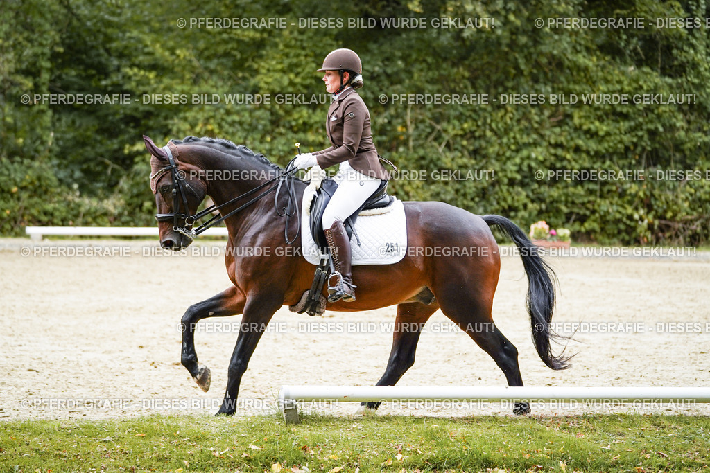 DSC01060 | Pferdegrafie