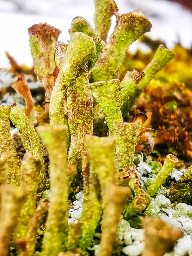 PSX_20230313_000040 | mtkfoto_ - Realisiert mit Pictrs.com