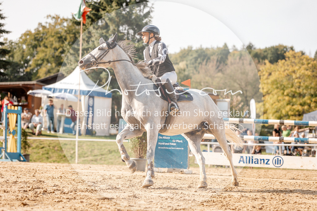 3I6A5112 | Stimmungsvolle Portraits und Reitsportfotografie im Ruhrgebiet und im Münsterland.

Pferdefotografie, Hundefotografie, Tierfotografie, Reportagen, Portraits von Tier und Mensch, Turnierfotografie in Bochum, Recklinghausen, Marl, Haltern am See, Dülmen.. - Realisiert mit Pictrs.com