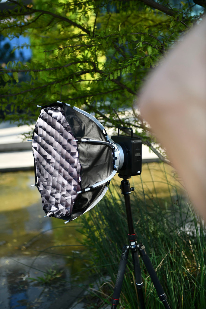 D85_0565 | Foto-Agnes Shop - Realisiert mit Pictrs.com