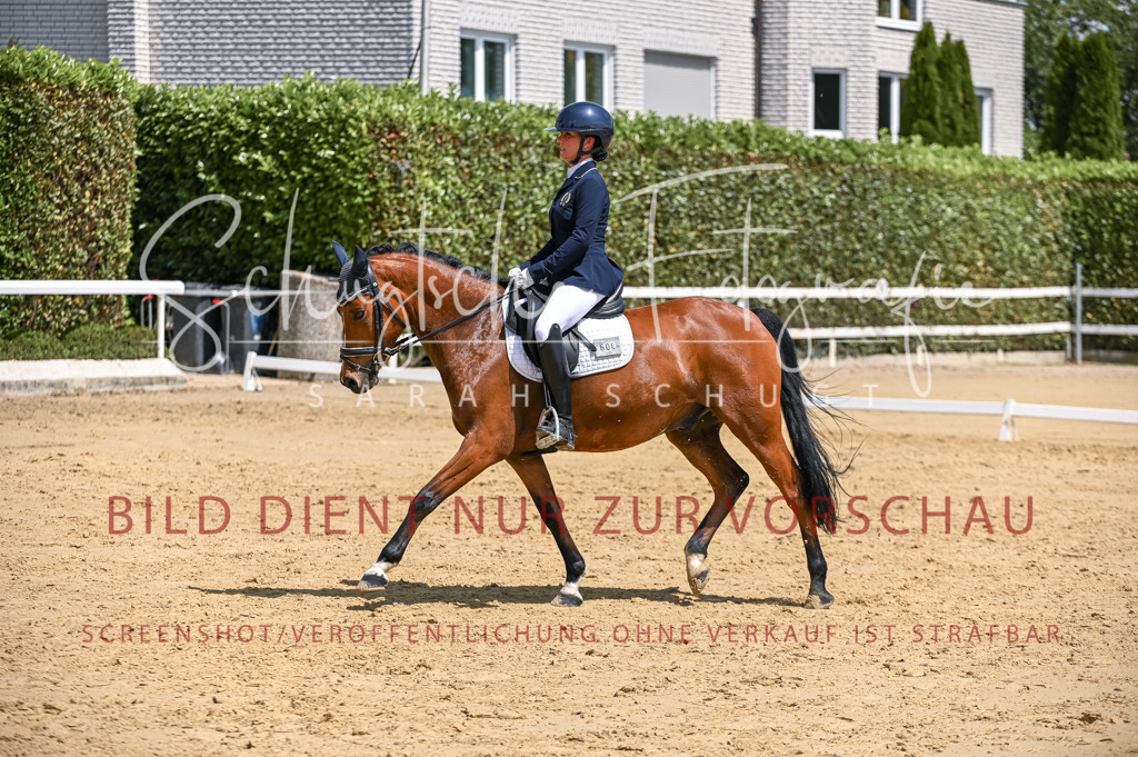 Schugtsche-Aluta25-53.Amat.Dressurprf.A2-445 | Schugtsche Fotografie - Realisiert mit Pictrs.com
