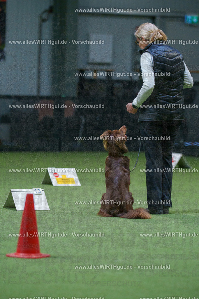 7R501349 | Professionelle Tierfotografie in Mönchengladbach von Daniel Wirth (allesWIRTHgut). Liebevolle & natürliche Bilder von Hunden & Katzen für unvergessliche Erinnerungen.