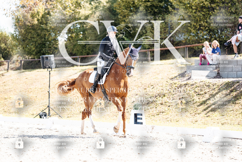 CK903233 | Turnierfotografie Pferdefotografie Trier Rheinland-Pfalz Pferdesport Reitsport Tierfotografie Sportfotografie Pferdevideo Pferdevideografie Equestrianvideography equestrianphotography  - Realisiert mit Pictrs.com