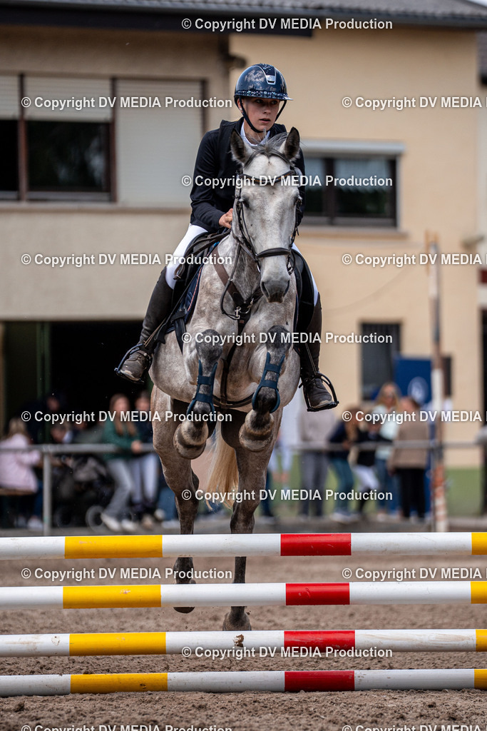 Eppelheim Tag 3-448 | dv-media-shop - Realisiert mit Pictrs.com