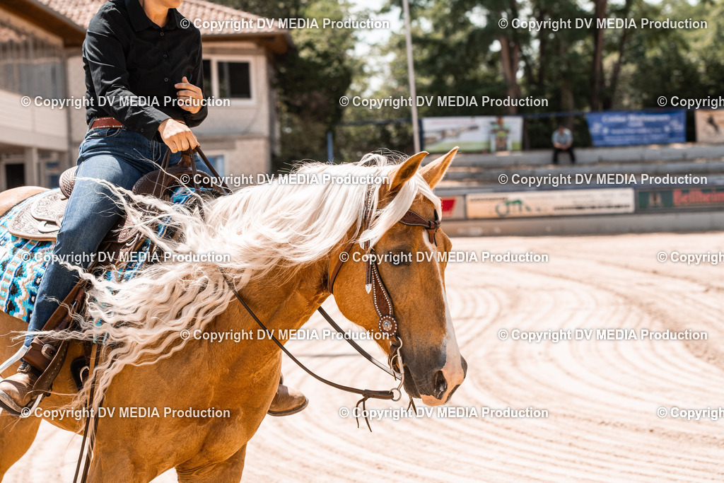 ZS3_0048 | dv-media-shop - Realisiert mit Pictrs.com