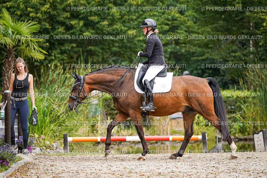 DSC02696 | Pferdegrafie