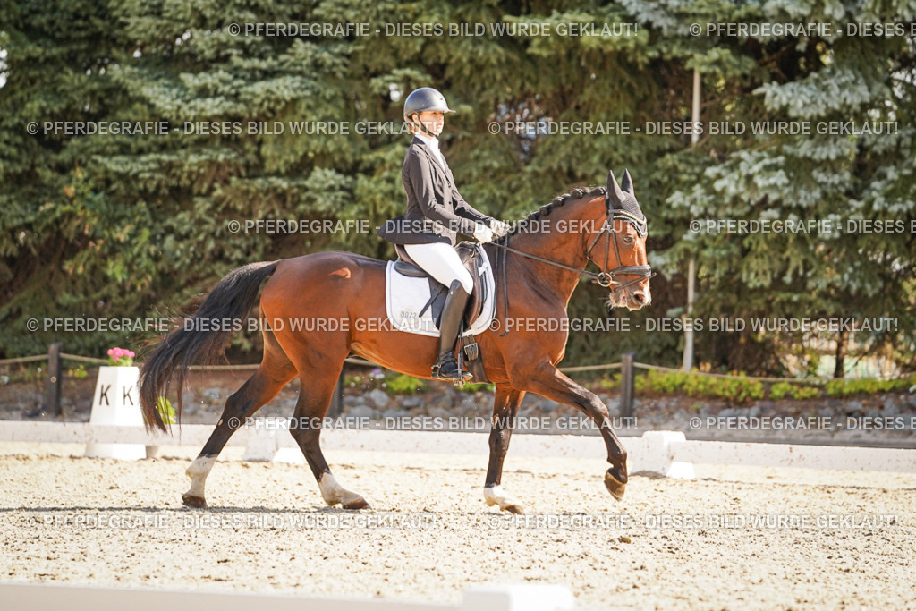 DSC00419 | Pferdegrafie