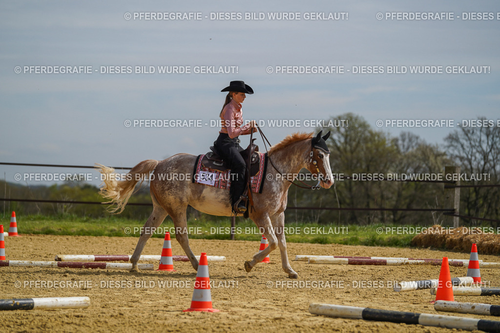 DSC04122 | Pferdegrafie