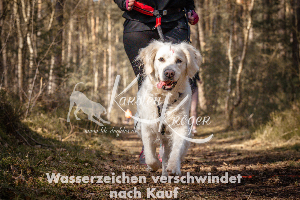 1101_ZZ99891 | kk-dogfotos