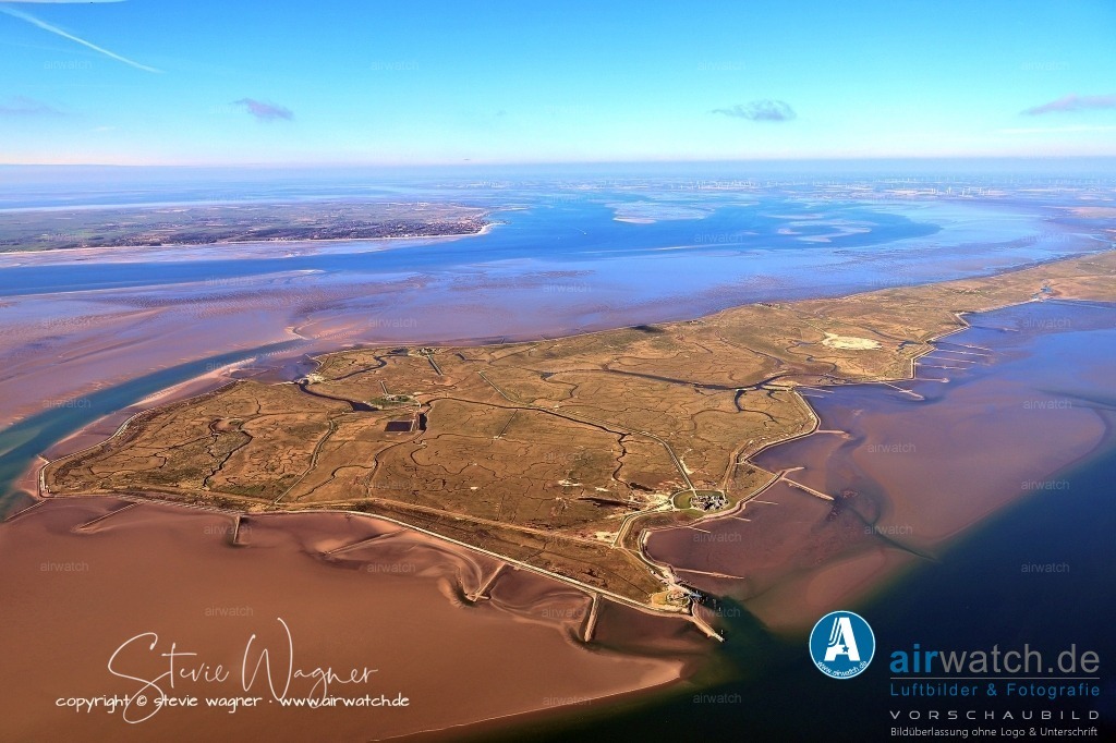 Wattenmeer, Fahrrinne und Priele - Hallig Langeneß | Die Naturschutzgesellschaft Schutzstation Wattenmeer und der WWF betreiben auf der Hallig das Wattenmeerhaus und das Salzwiesen-Beweidungsprojekt, wo Kühe für den Naturschutz grasen. Die Hallig ist Teil des Nationalparks Schleswig-Holsteinisches Wattenmeer