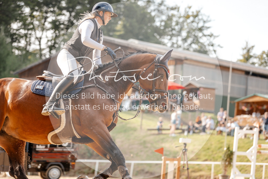 3I6A4805 | Stimmungsvolle Portraits und Reitsportfotografie im Ruhrgebiet und im Münsterland.

Pferdefotografie, Hundefotografie, Tierfotografie, Reportagen, Portraits von Tier und Mensch, Turnierfotografie in Bochum, Recklinghausen, Marl, Haltern am See, Dülmen.. - Realisiert mit Pictrs.com