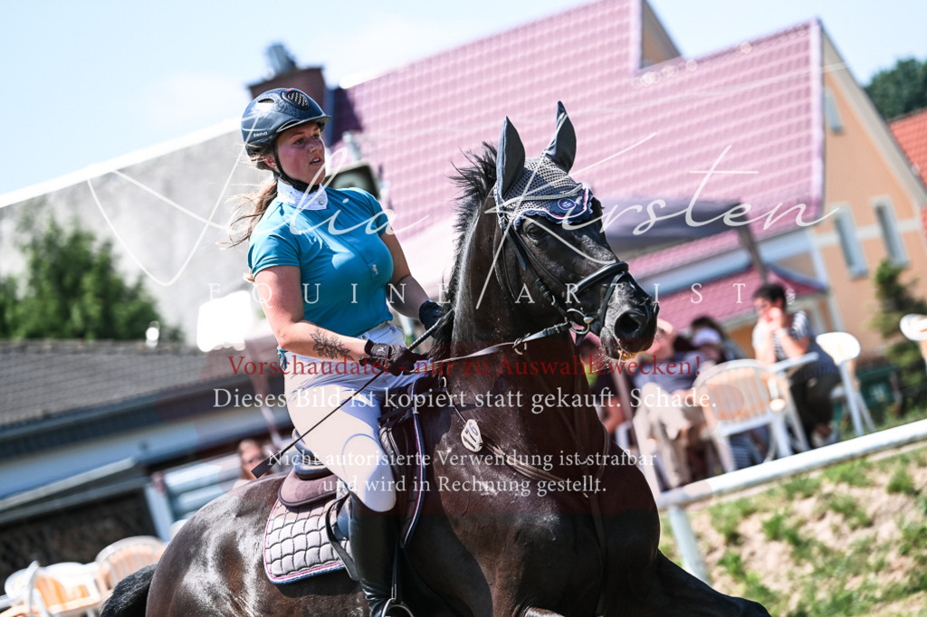DSC_0073 | Pferde- und Turnierfotografie in Westsachsen. Pferdeportraits, Auftragszeichnungen und intuitive Kunst.