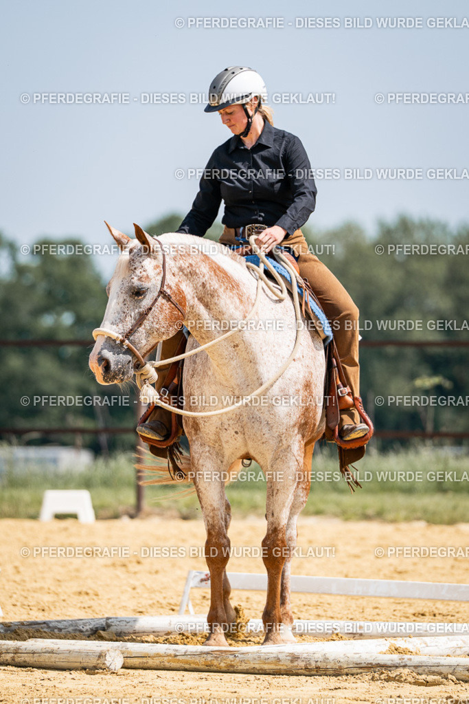 DSC00544 | Pferdegrafie