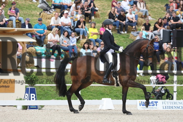 Birkhof_2023_Prfg.Nr.03_Intermediaire II_Louisdor_Mathilde Koefoed-Nielsen_Blue Hors Odin Unik (7) | Alle Fotos der Reiterjournal Fotografin Doris Matthaes im Reiterjournal Online-Fotoshop. - Realisiert mit Pictrs.com