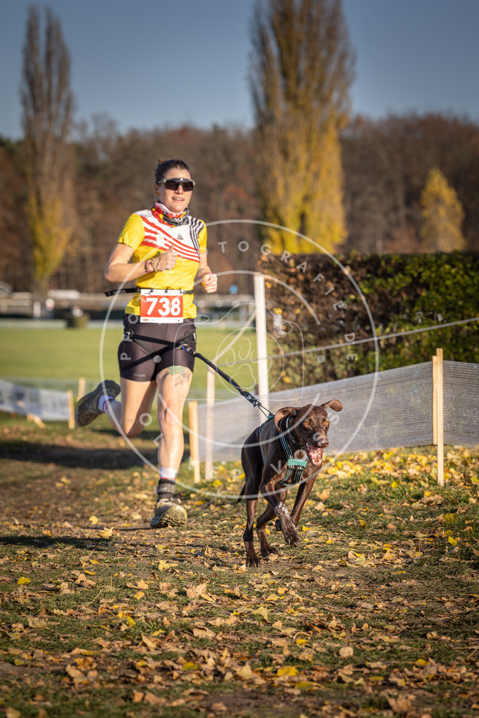 CaniXpix_DV3A2189 | Hundefotografie, Tierfotograf, Pfotenfotografie, Fotoshooting Hund, Hunde Portrait, Hundesport, Hundeportraits, Heideshooting, Hunde, Sportfotograf, Hundefotograf, Turnierhundsport, THS,  - Realisiert mit Pictrs.com