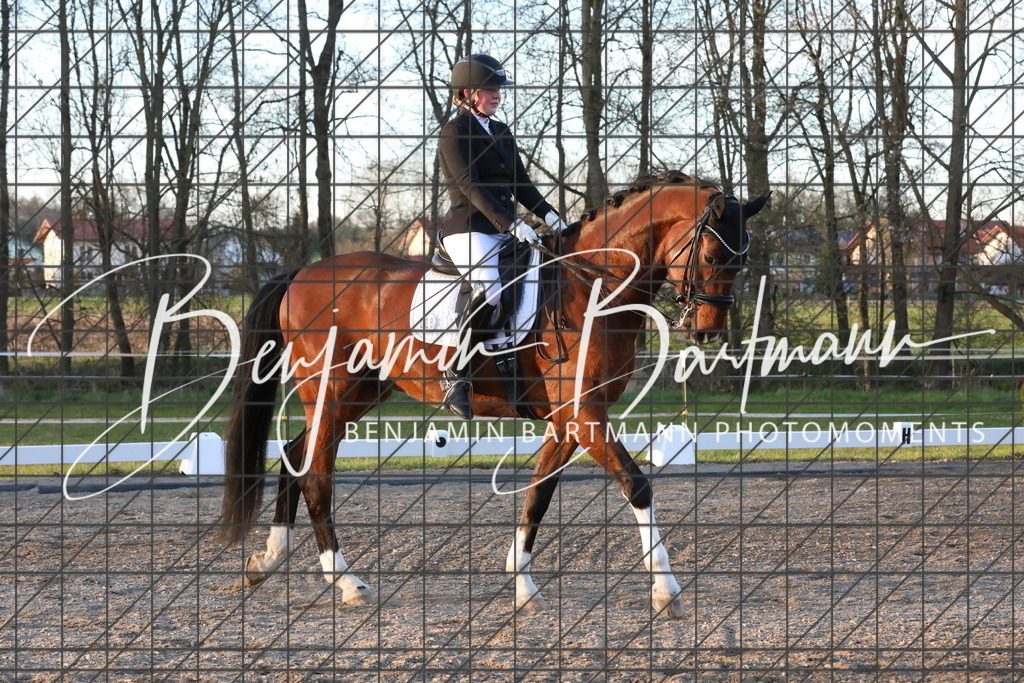 AZ2A5894 | Benjamin Bartmann Photomoments