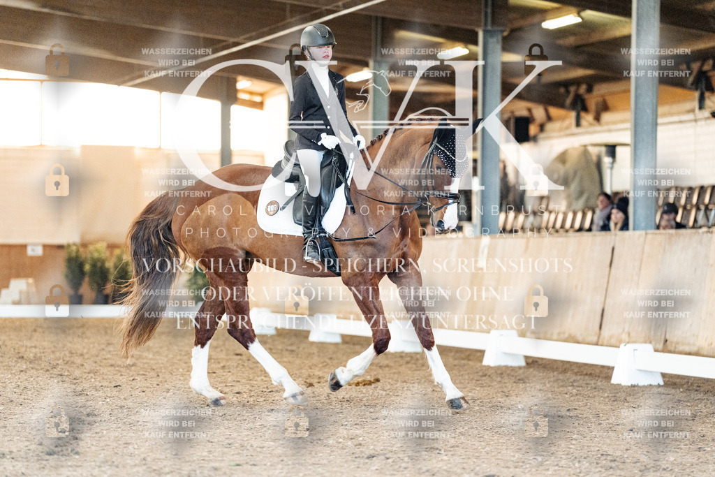 CK906744 | Turnierfotografie Pferdefotografie Trier Rheinland-Pfalz Pferdesport Reitsport Tierfotografie Sportfotografie Pferdevideo Pferdevideografie Equestrianvideography equestrianphotography  - Realized with Pictrs.com