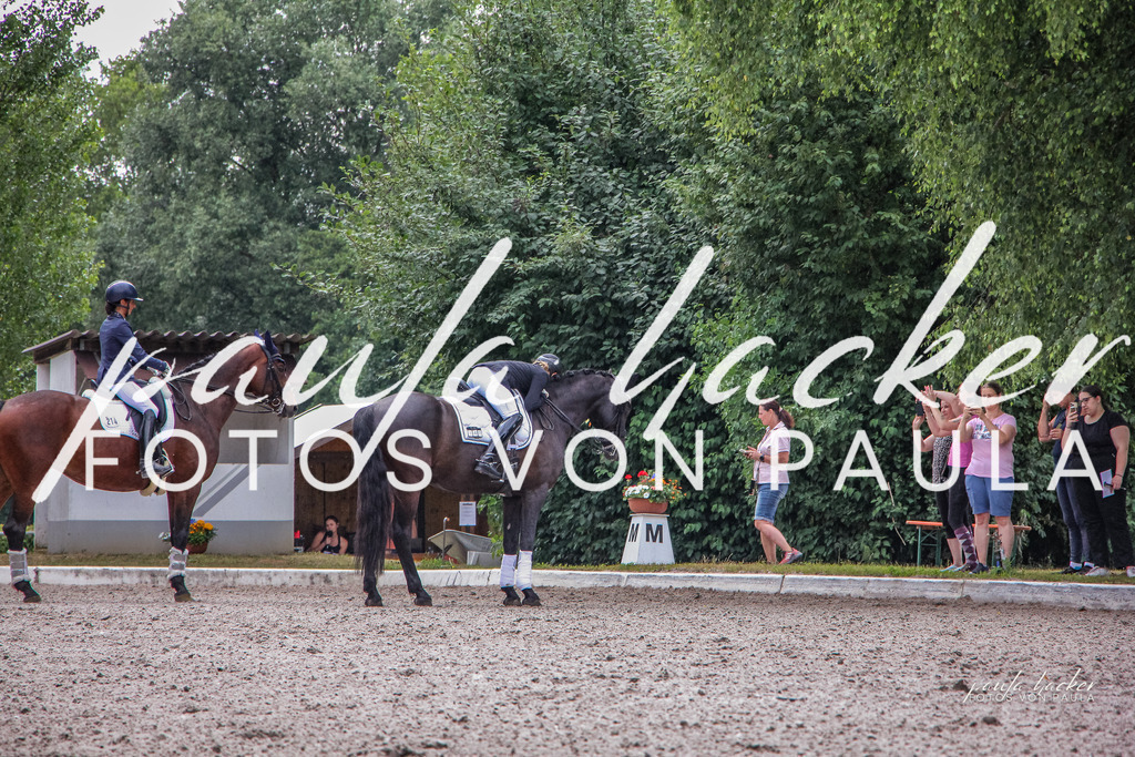 IMG_8969 | Erleben Sie dynamische Sport- und emotionale Tierfotografie in Süddeutschland mit Fotos von Paula. Spezialisiert auf Pferde- und Hundefotografie sowie Sportevents. Kontaktieren Sie mich für einzigartige und ausdrucksstarke Bilder Ihrer besonderen Momente. - Realisiert mit Pictrs.com