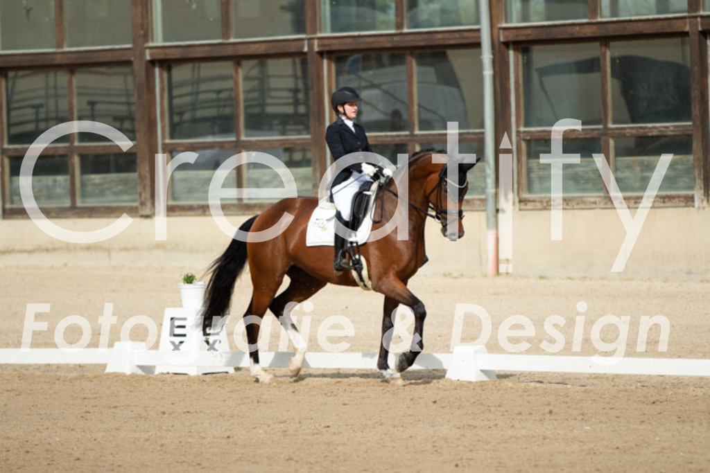 IMG_0877 | Creatify Fotografie