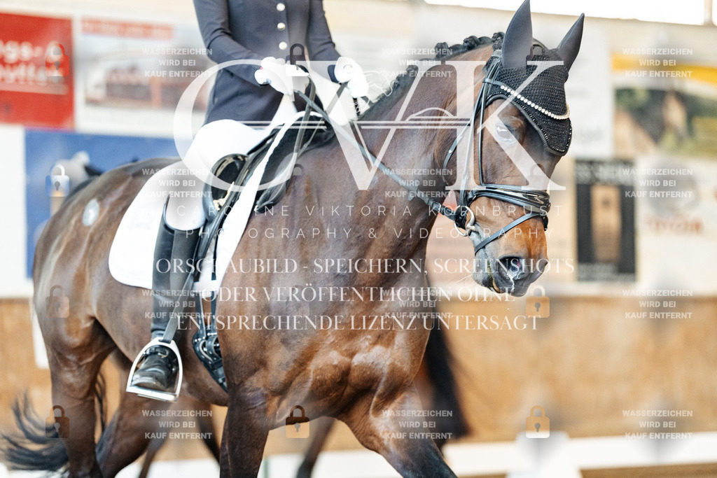 CK909320 | Turnierfotografie Pferdefotografie Trier Rheinland-Pfalz Pferdesport Reitsport Tierfotografie Sportfotografie Pferdevideo Pferdevideografie Equestrianvideography equestrianphotography  - Realisiert mit Pictrs.com