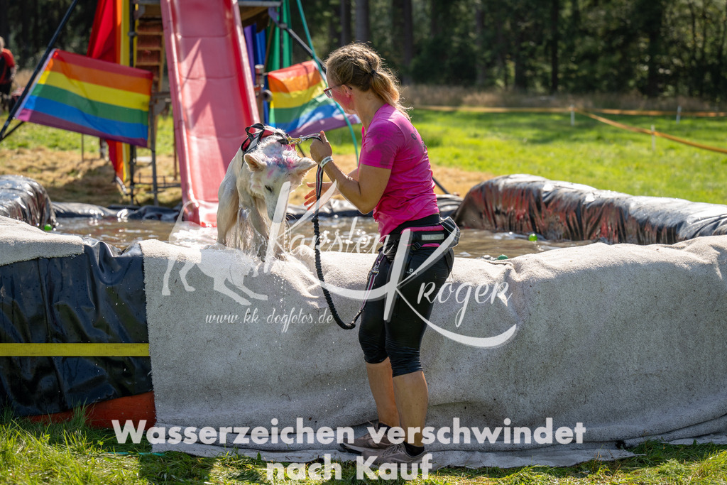 1436_ZZ91185 | kk-dogfotos