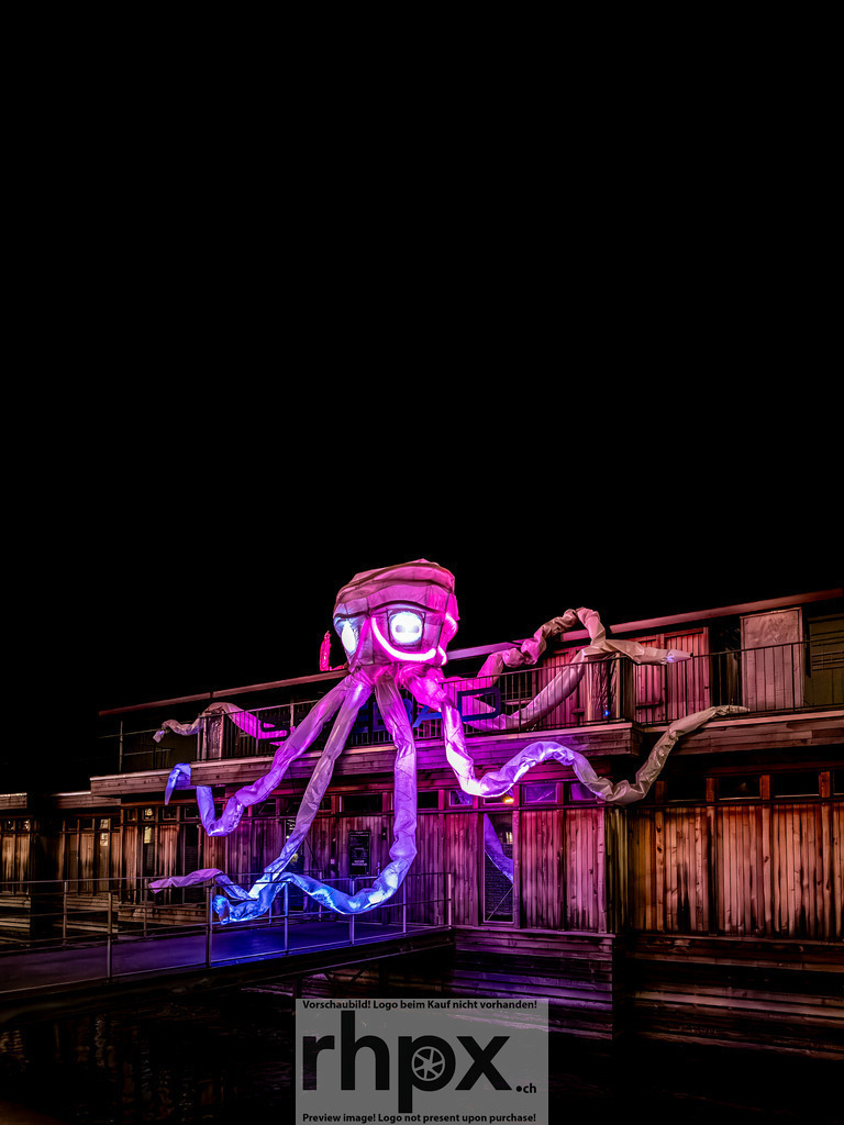 Lilu Lichtvestival 2026 | Stimmungsvolle Fotokunst aus Luzern. Erlebe den Pilatus, den See und die Stadt Luzern in exklusiven Aufnahmen in der Fotogalerie & Shop. - Realisiert mit Pictrs.com