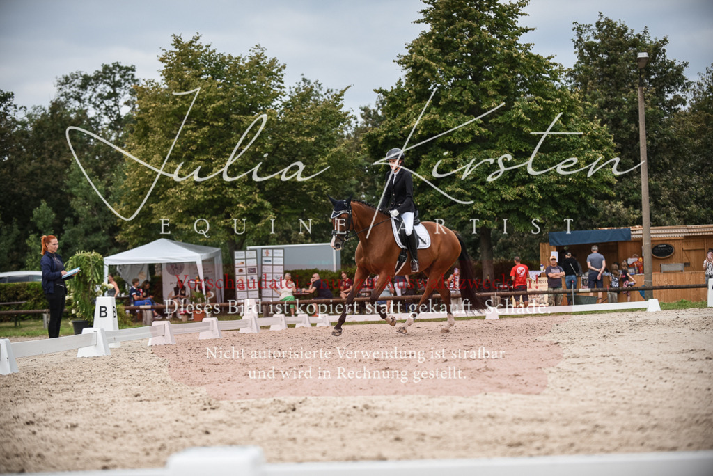 DSC_8426 | Pferde- und Turnierfotografie in Westsachsen. Pferdeportraits, Auftragszeichnungen und intuitive Kunst.